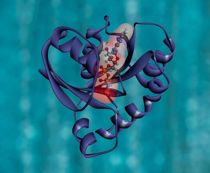 Widok na świeże owoce, zioła i zdrowe posiłki, idealne do naturalnych sposobów na odporność w codziennej diecie