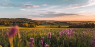 Jak wybrać idealną kanapę do małego mieszkania Stylowa, kompaktowa kanapa w małym salonie, idealna do funkcjonalnych wnętrz, przyciąga uwagę w kontekście wyboru kanapy do m