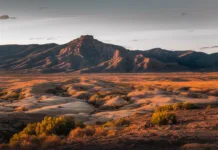 IMAX, 4DX i Dolby Cinema – który format wybrać? Banner promujący różnice między IMAX, 4DX i Dolby Cinema, z kinematograficznymi wizualizacjami i intensywnymi kolorami