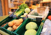 Dieta wegetariańska dla małych dzieci – zdrowe nawyki Kolorowe talerze z warzywami, owocami i zbożami w radosnej scenerii, ilustrujące dietę wegetariańską dla małych dzieci