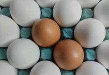 Najlepsze źródła białka dla dzieci w diecie maluchów Wideokadr prezentujący różnorodne potrawy bogate w białko, idealne jako najlepsze źródła białka dla dzieci