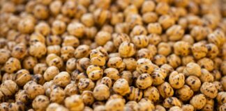 Smaczne zdrowe przekąski białkowe po treningu Zdrowe przekąski białkowe, takie jak jogurt grecki z owocami i hummus, idealne po treningu, na stole w jasnym otoczeniu