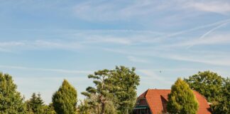 Jak stworzyć zdrowy dom dla osób z alergiami Przytulne wnętrze zdrowego domu dla osób z alergiami, z roślinami oczyszczającymi powietrze i naturalnymi materiałami dekorac