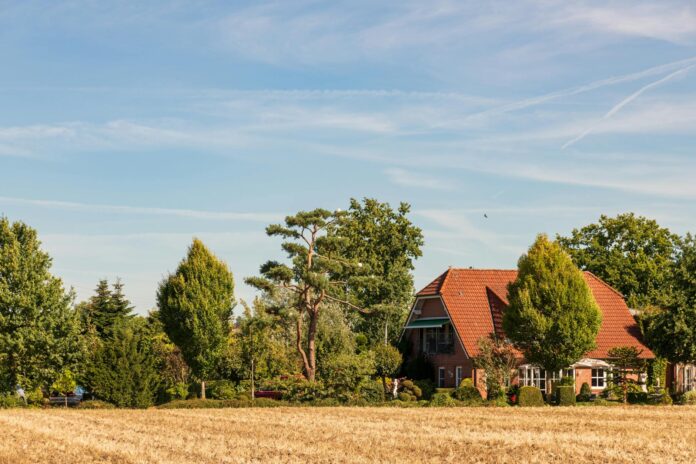Przytulne wnętrze zdrowego domu dla osób z alergiami, z roślinami oczyszczającymi powietrze i naturalnymi materiałami dekorac