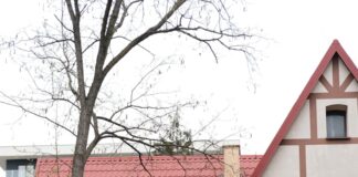 Jak tworzyć meta opisy zwiększające CTR w wyszukiwarce Grafika ilustrująca meta opisy w kontekście zwiększania CTR w wyszukiwarce, z atrakcyjnym tłem i czytelnymi tekstami